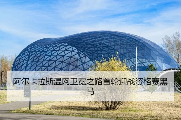 a-er-ka-la-si-wen-wang-wei-mian-zhi-lu-shou-lun-ying-zhan-zi-ge-sai-hei-ma-2-522.jpg