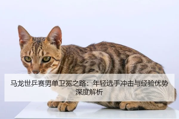 ma-long-shi-ping-sai-nan-dan-wei-mian-zhi-lu-nian-qing-xuan-shou-chong-ji-yu-jing-yan-you-shi-shen-du-jie-xi-2-508.jpg