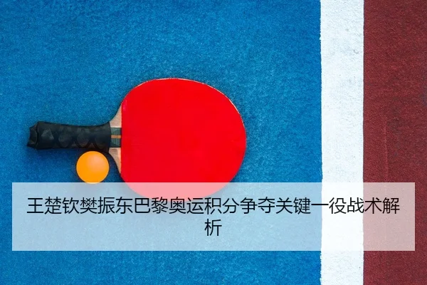 wang-chu-qin-fan-zhen-dong-ba-li-ao-yun-ji-fen-zheng-duo-guan-jian-yi-yi-zhan-shu-jie-xi-3-133.jpg