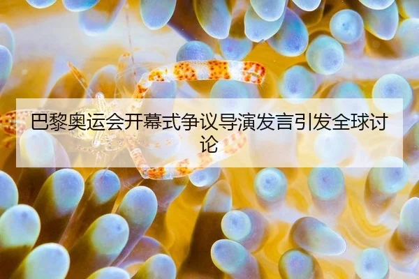 巴黎奥运会开幕式争议导演发言引发全球讨论