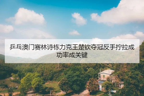 乒乓澳门赛林诗栋力克王楚钦夺冠反手拧拉成功率成关键